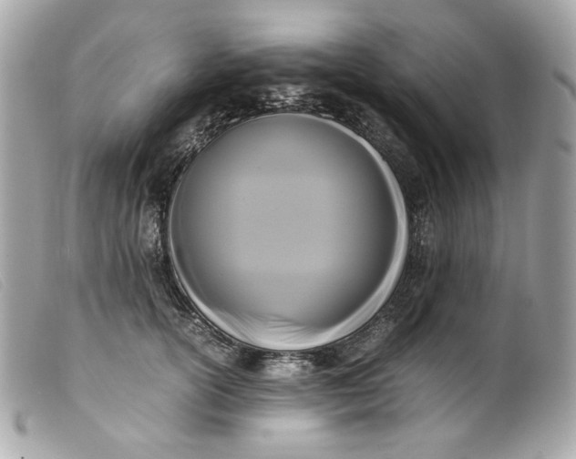 X0000099550754200805301520