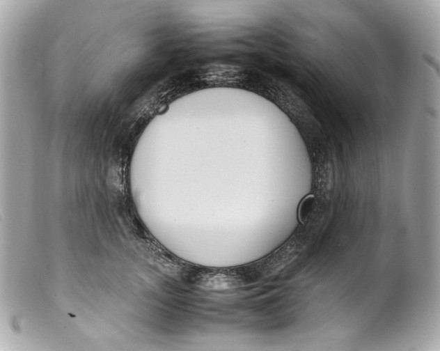 X0000099550755200805301520