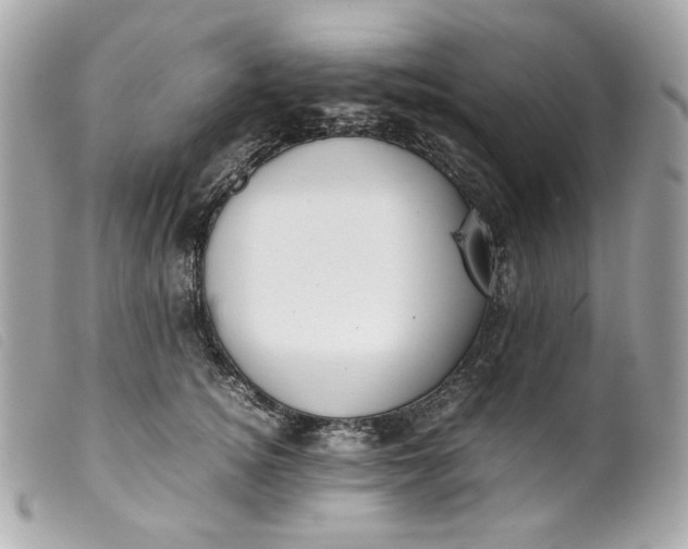 X0000099550756200805301520