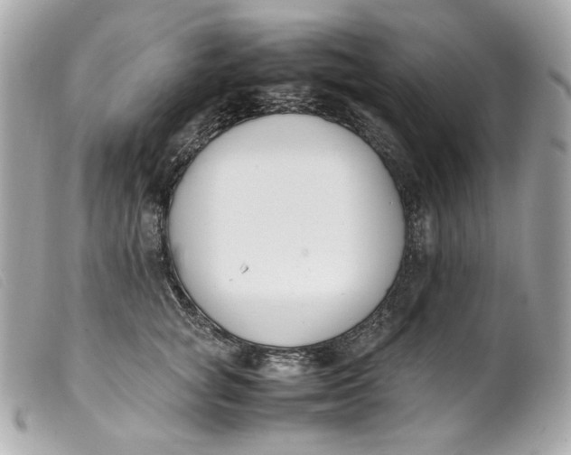 X0000099550757200805301520