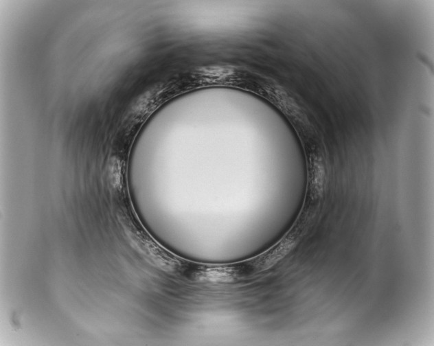 X0000099550758200805301520