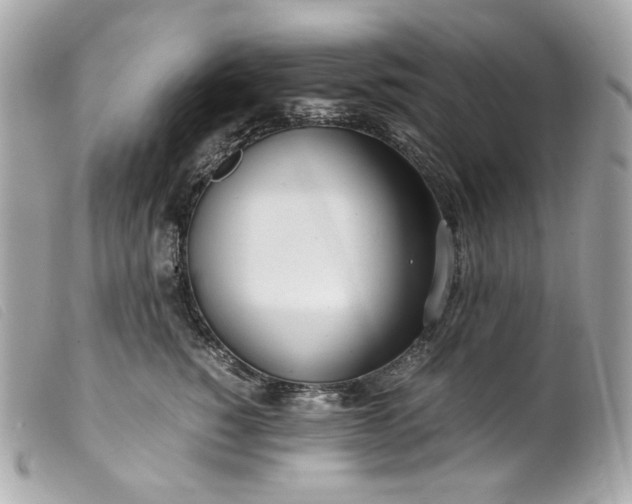 X0000099550760200805301520