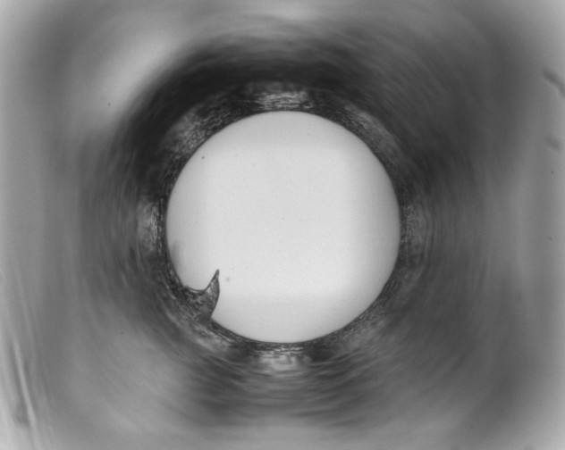 X0000099550761200805301520