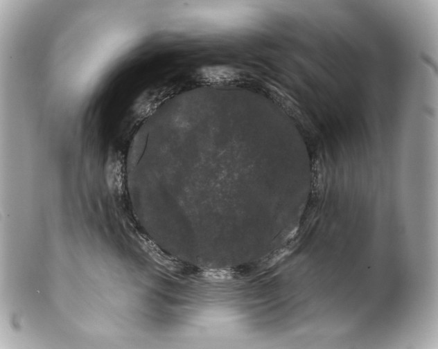 X0000099550762200805301520