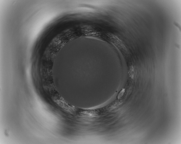 X0000099550763200805301521