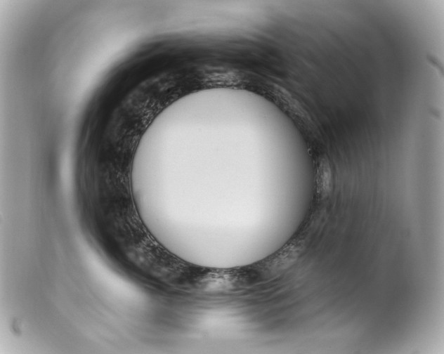 X0000099550764200805301521