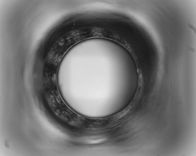 X0000099550765200805301521