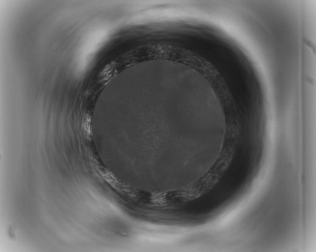 X0000099550766200805301521