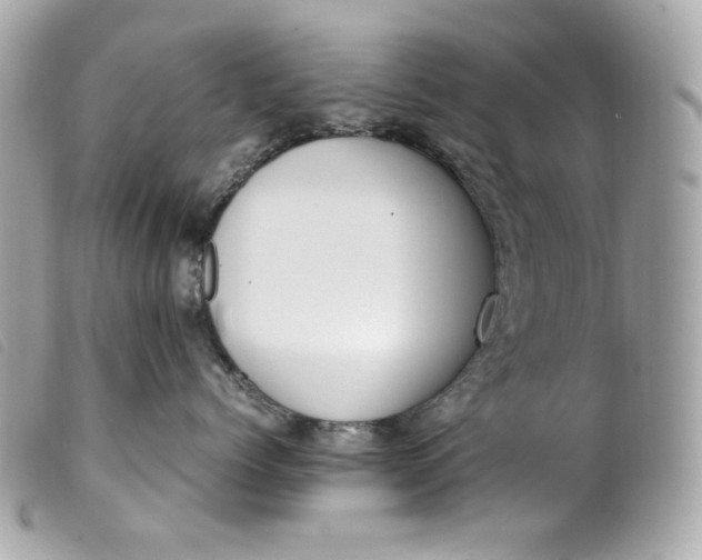 X0000099550768200805301521