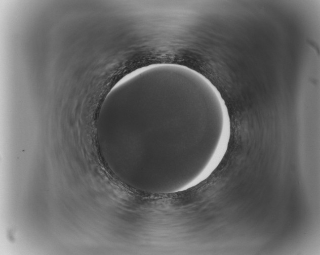 X0000099550769200805301520