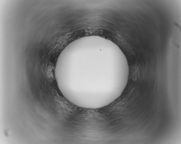 X0000099550770200805301520