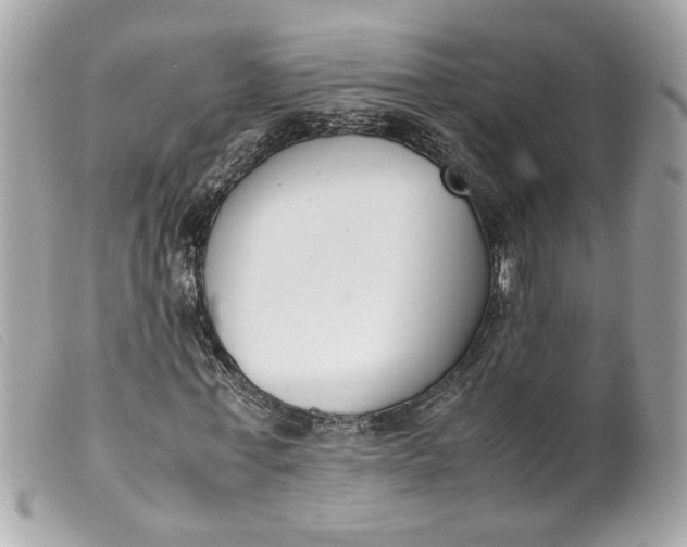 X0000099550771200805301520