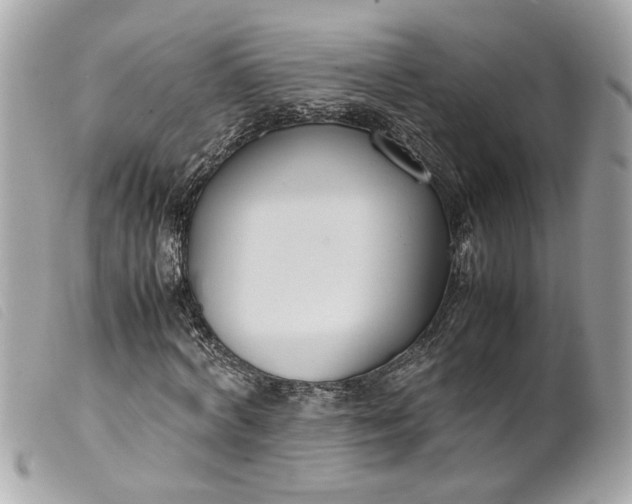 X0000099550772200805301520