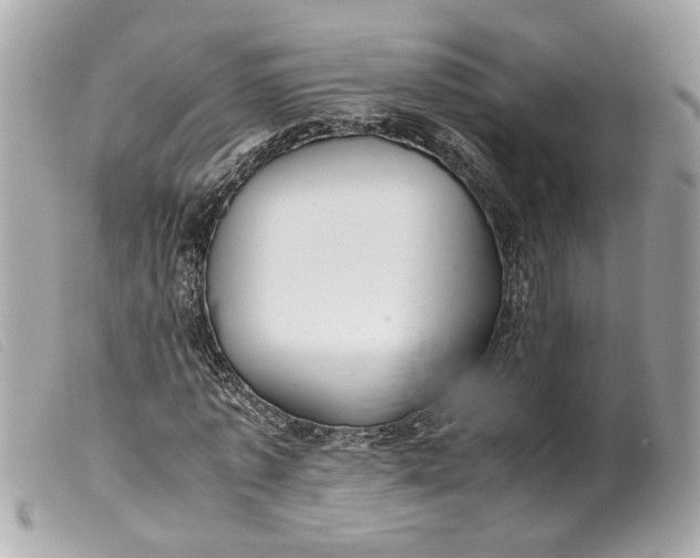 X0000099550773200805301520