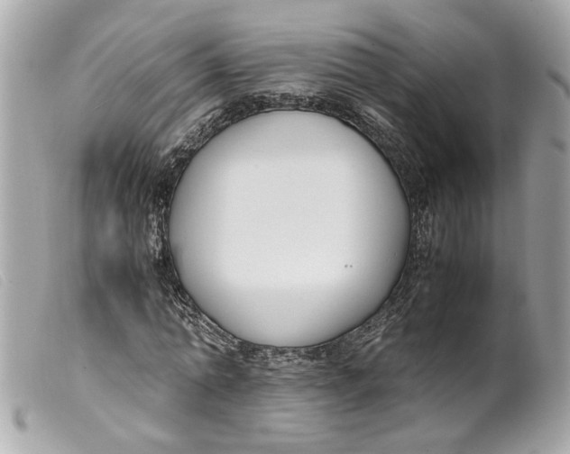 X0000099550774200805301520