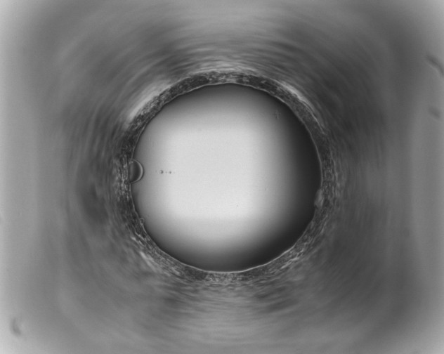 X0000099550775200805301520