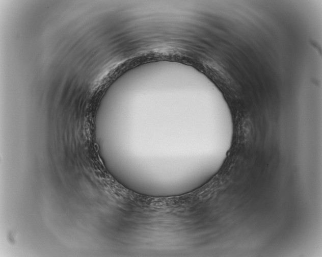 X0000099550776200805301520