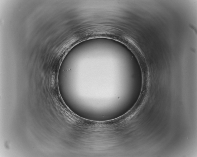 X0000099550777200805301520