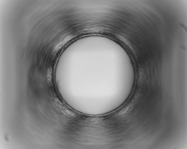 X0000099550778200805301520