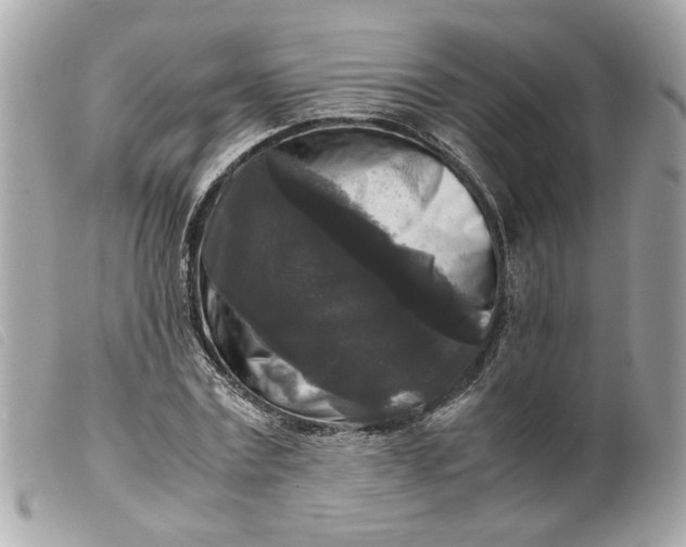 X0000099550779200805301520