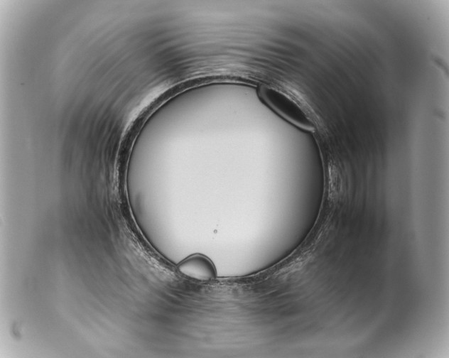 X0000099550780200805301520