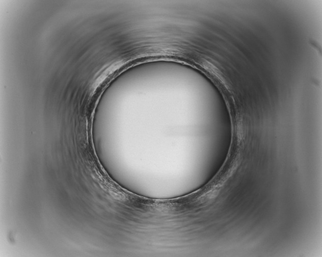 X0000099550781200805301520