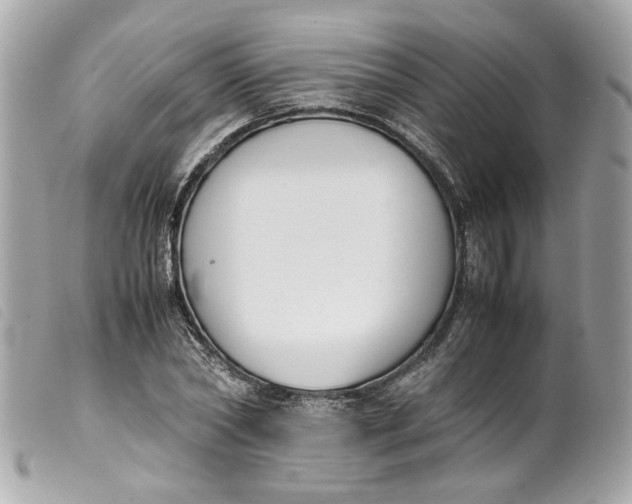 X0000099550782200805301520