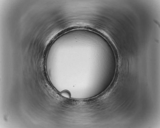 X0000099550783200805301520