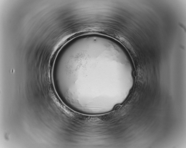 X0000099550784200805301520