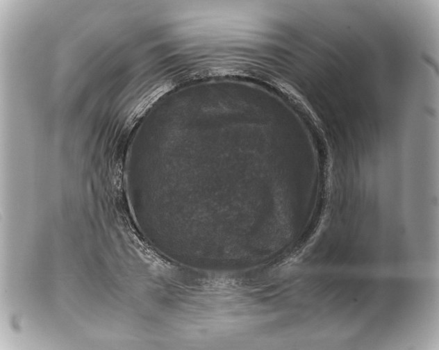 X0000099550785200805301520