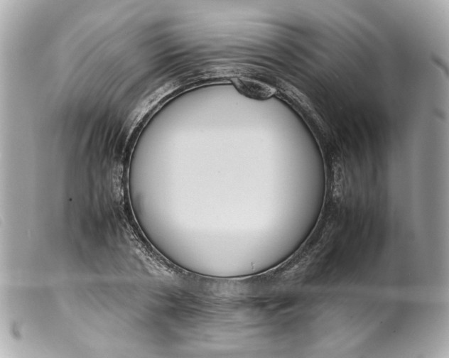 X0000099550786200805301520