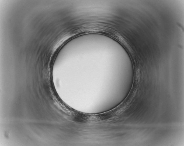 X0000099550787200805301520