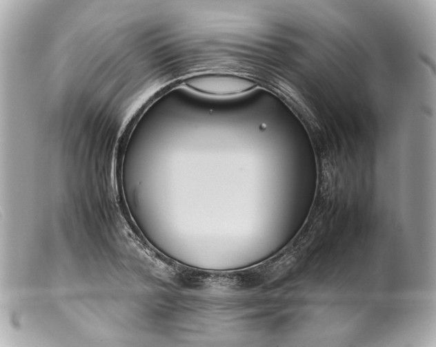 X0000099550788200805301520