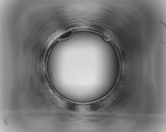 X0000099550789200805301520