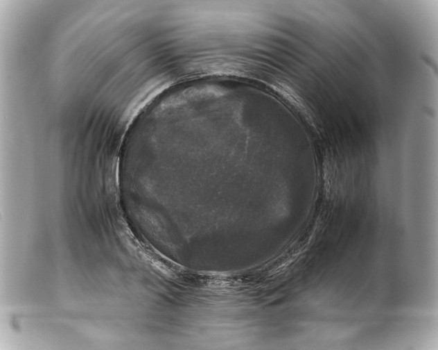 X0000099550790200805301520