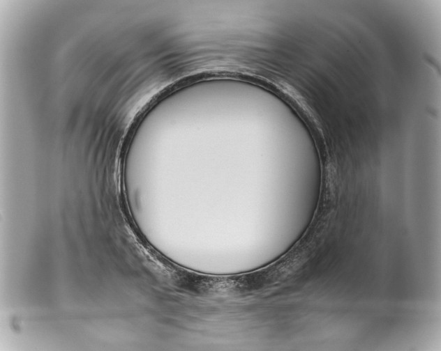 X0000099550791200805301520