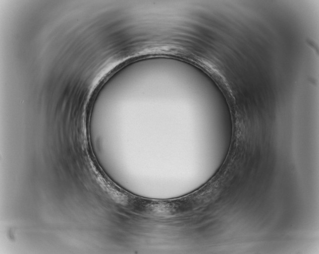 X0000099550792200805301520