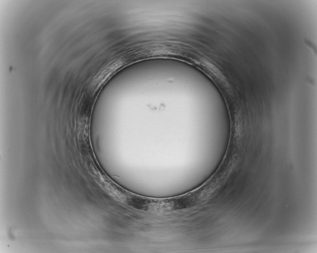 X0000099550793200805301520