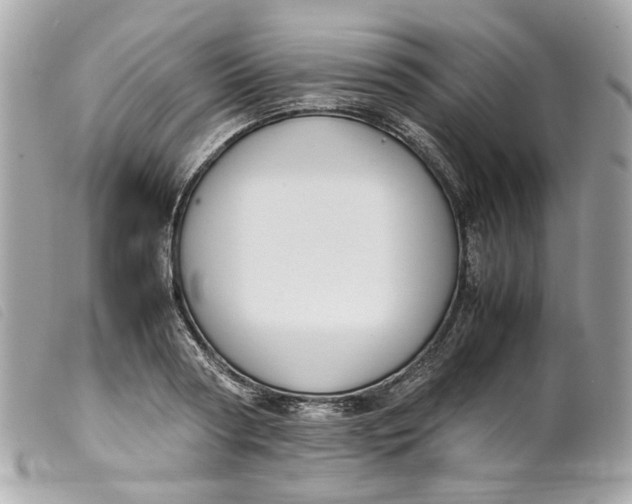 X0000099550794200805301520