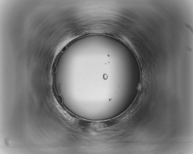 X0000099550795200805301520