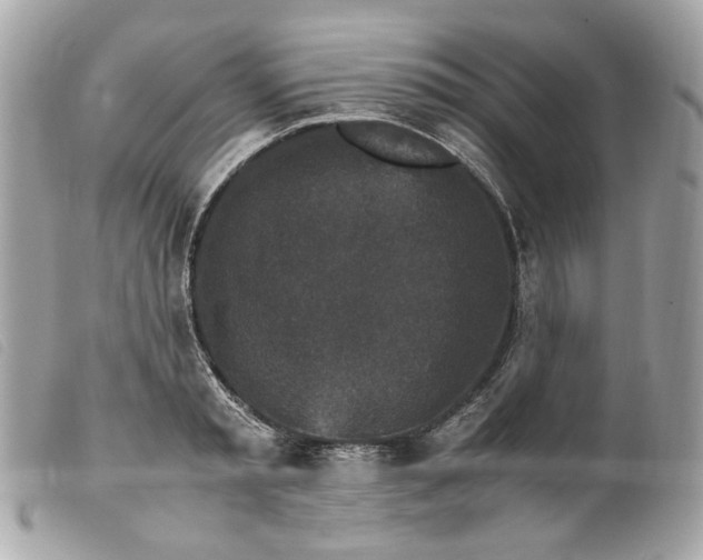 X0000099550797200805301520