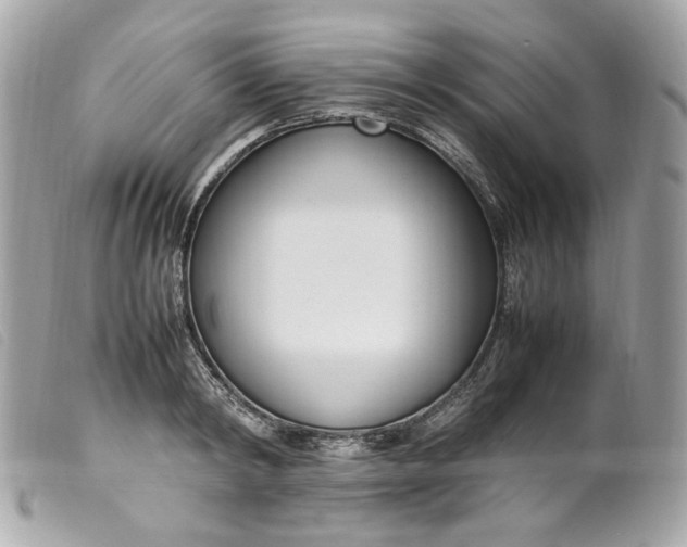 X0000099550798200805301520