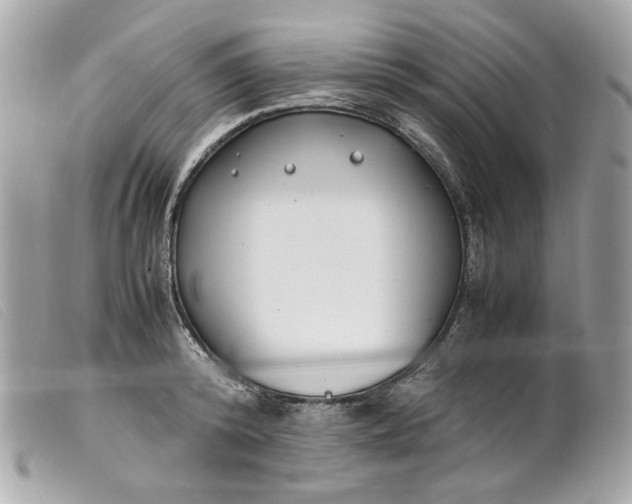 X0000099550800200805301520