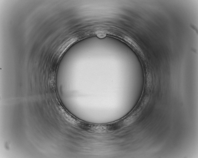 X0000099550801200805301520