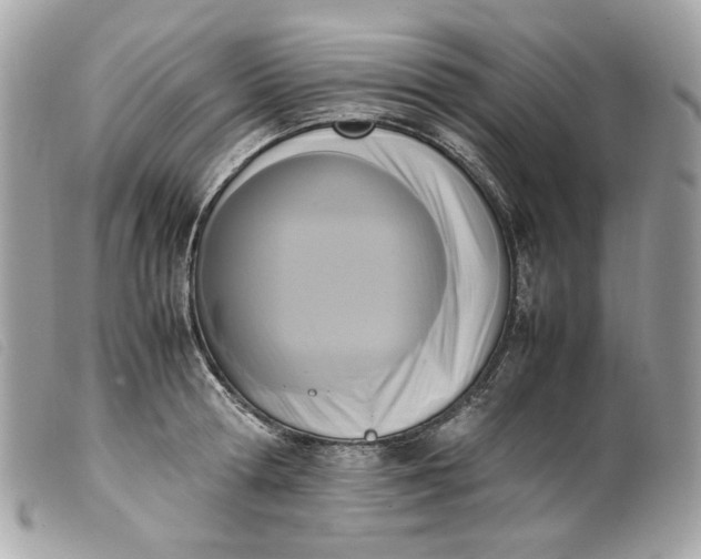 X0000099550802200805301520