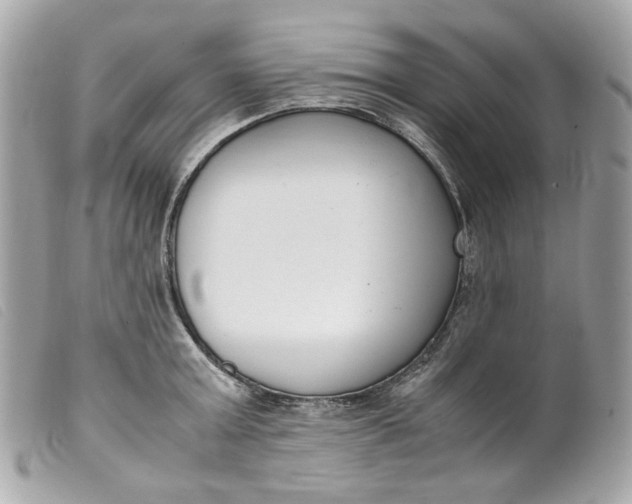 X0000099550803200805301520