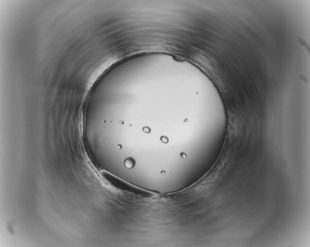 X0000099550804200805301519