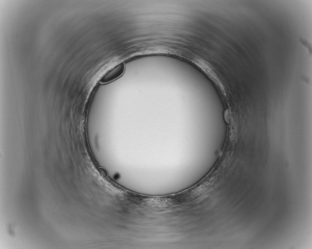 X0000099550805200805301519