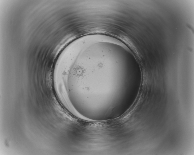 X0000099550806200805301519