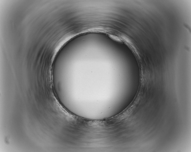 X0000099550808200805301519